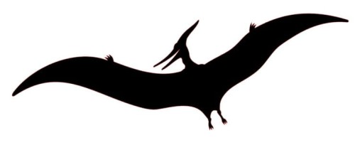 J005.jpg