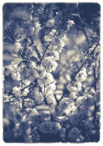 PLAKAT #019